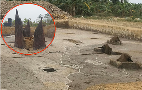 Bãi cọc gần nghìn năm ở Hải Phòng liên hệ thế nào với trận thuỷ chiến Bạch Đằng?